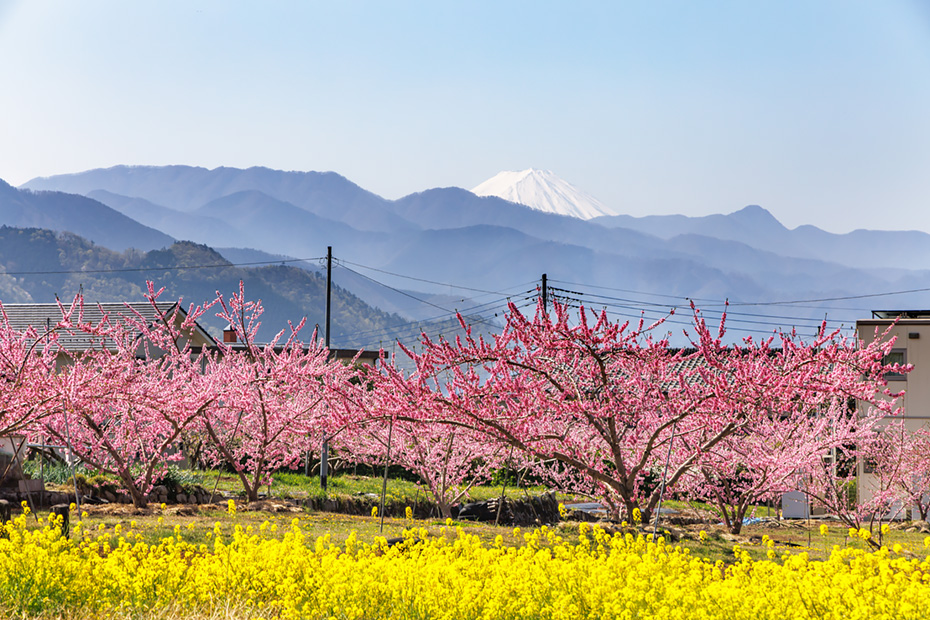 グランプリ：山梨県笛吹市「富士山を越えてめぐる農の恵み」
