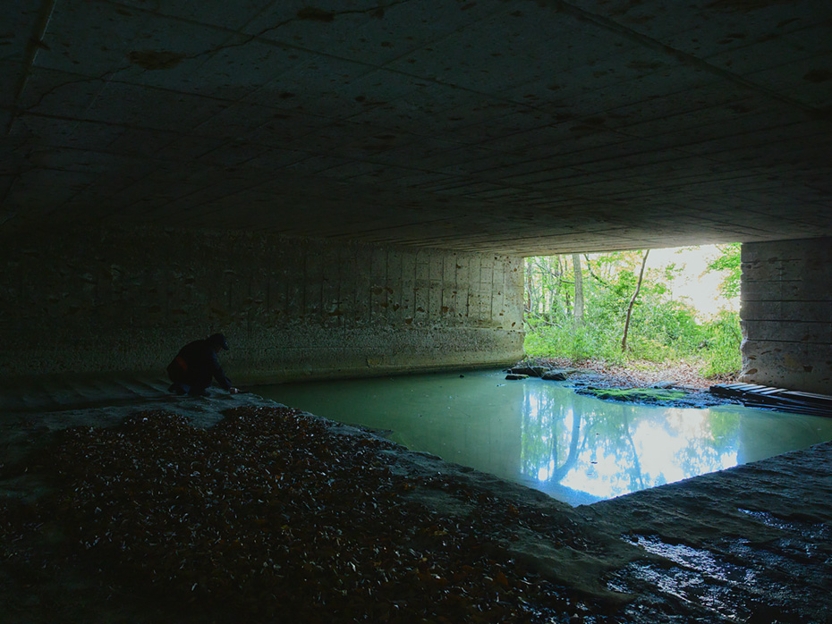 大谷の岩肌とインスタレーションの融合