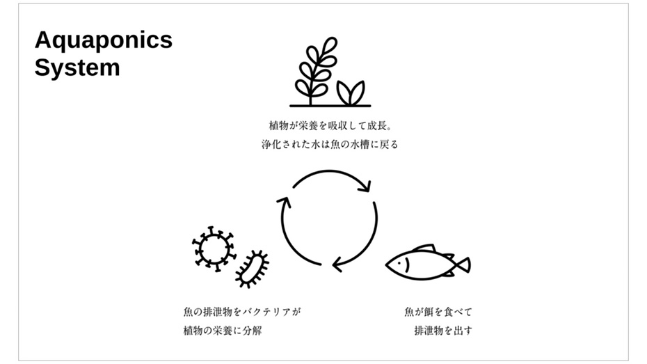 Aquaponics System