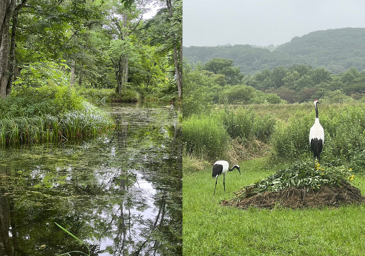 北の宝、北海道の自然環境を守る NPO法人サロンルンカムイの活動と道東の魅力