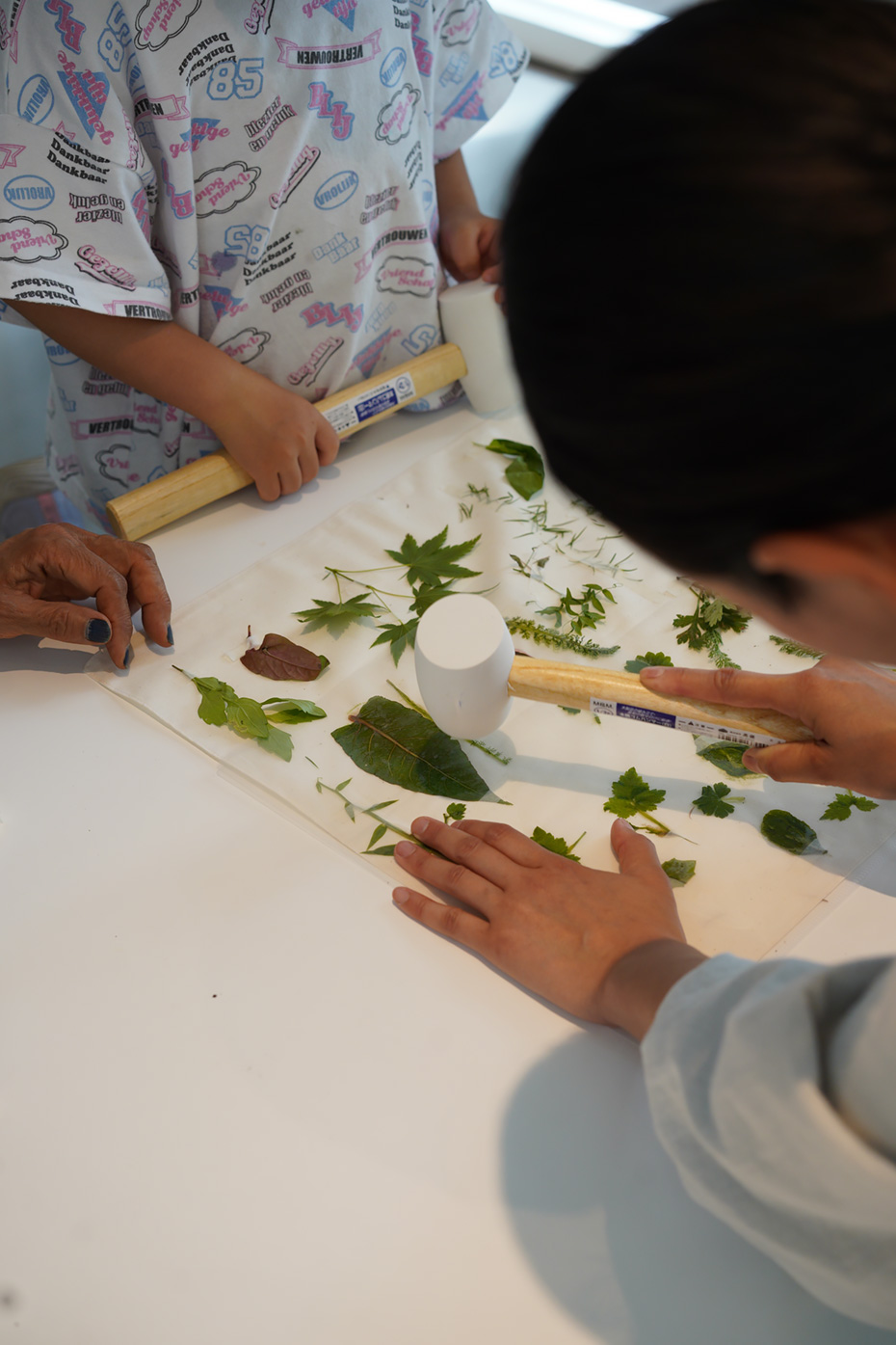 蒸留体験・植物標本づくり・草木染め体験