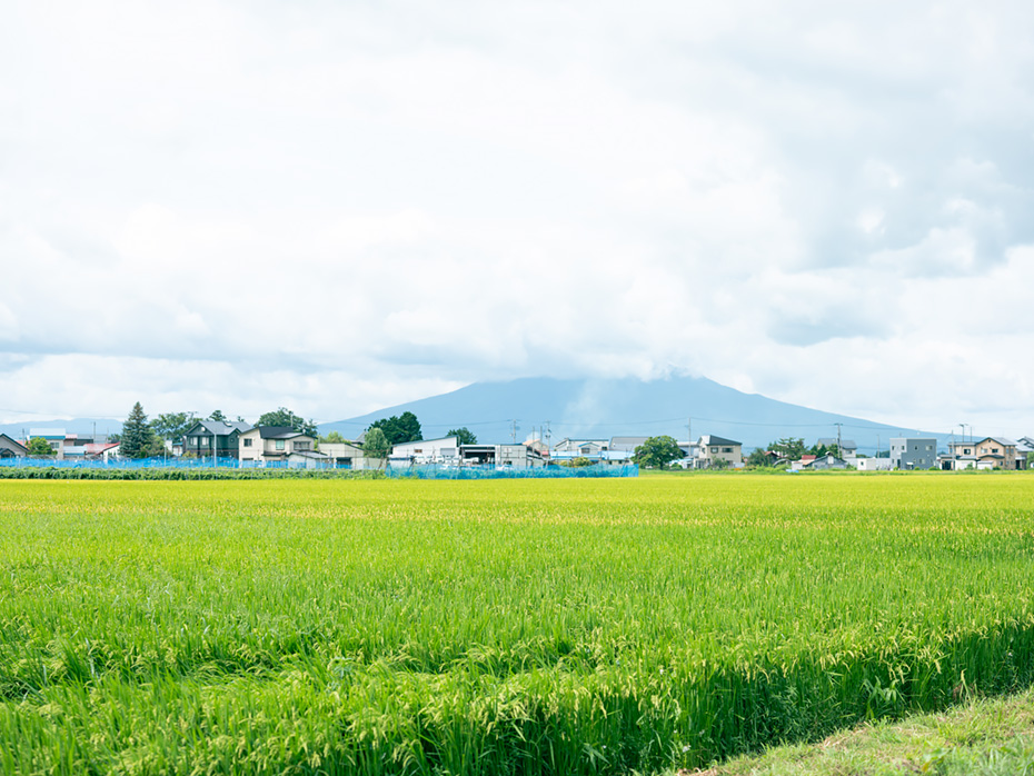 アグリーンハート