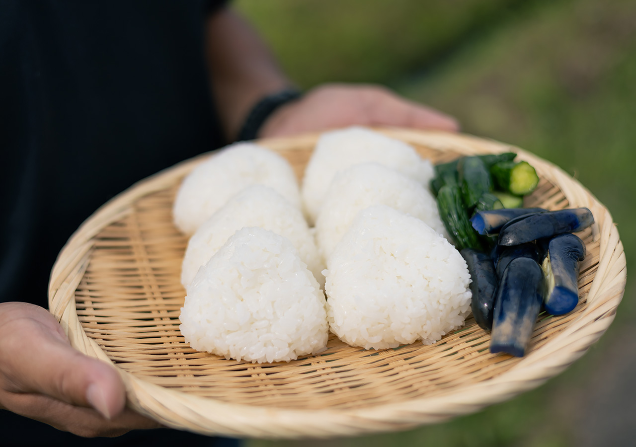 青森県を代表するブランド米。あおもり米〈青天の霹靂〉のおいしさの理由を探る
