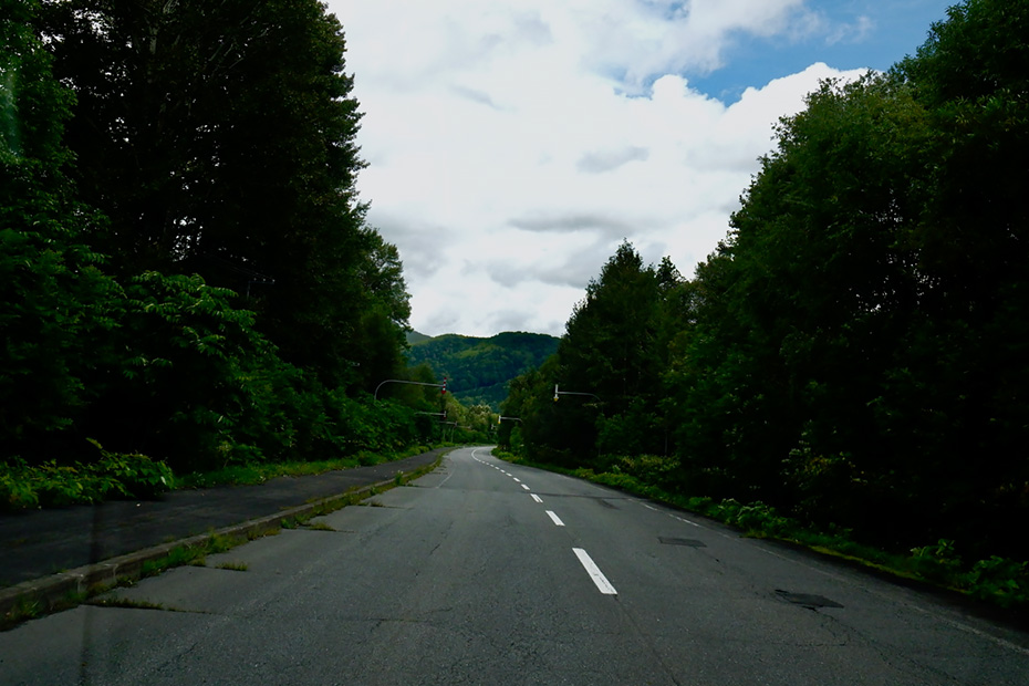 何処までも続く森の中を走る。