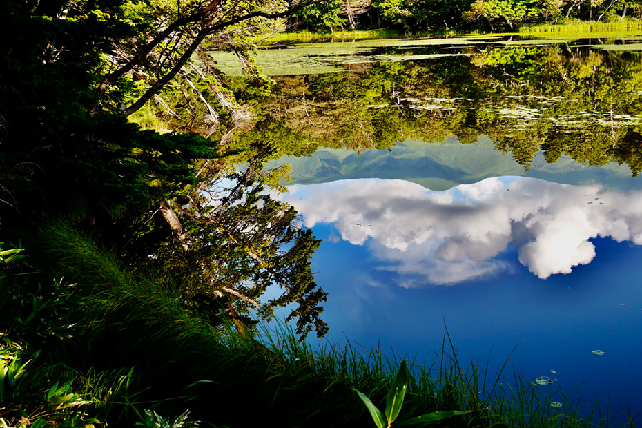 知床五湖。湖面には綺麗に知床連山が映り込んでいた。