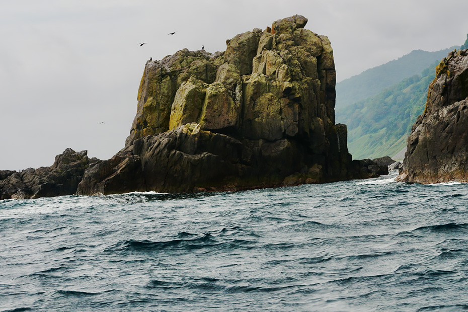 元漁師の舵捌きが素晴らしく、海のアトラクションとしても楽しめた。