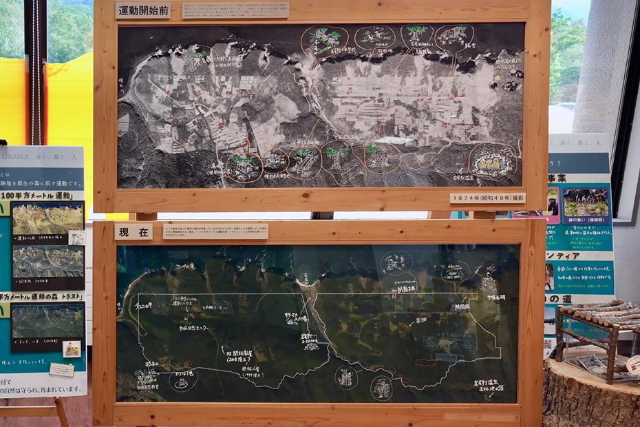 １００平方メートル運動開始前と現在の様子。森が育って再生している事がわかる。