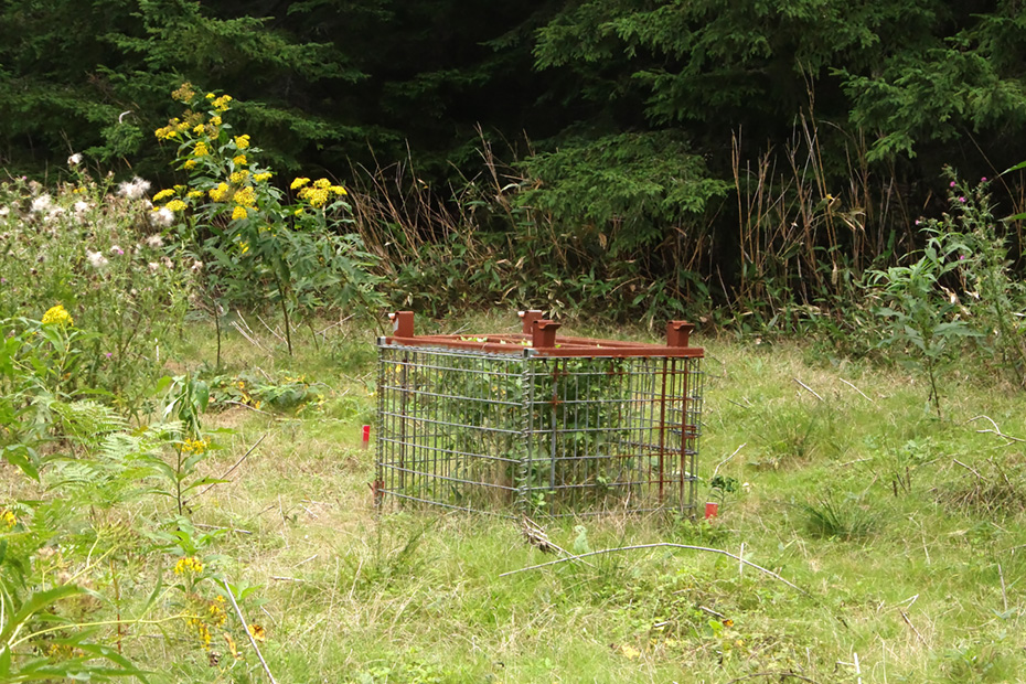 「シカの食害をモニタリングするために設けた柵」柵の中はシカの食害が無いので外との比較を行い、シカの食害の影響をモニタリングする。