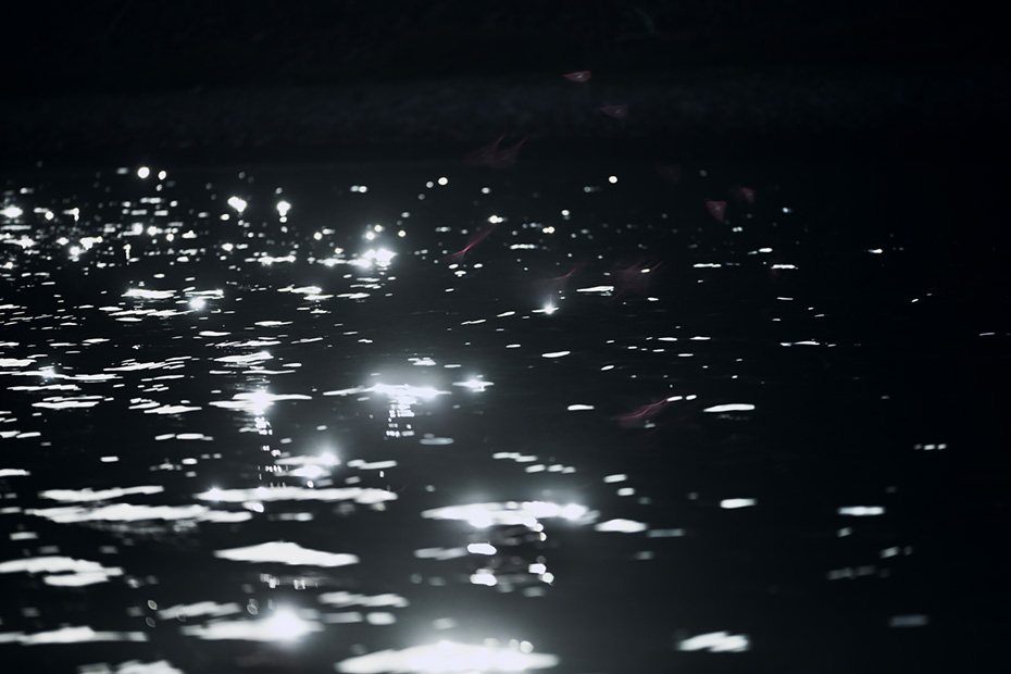 何かを伝えるかのように川の水面が煌めいていた。