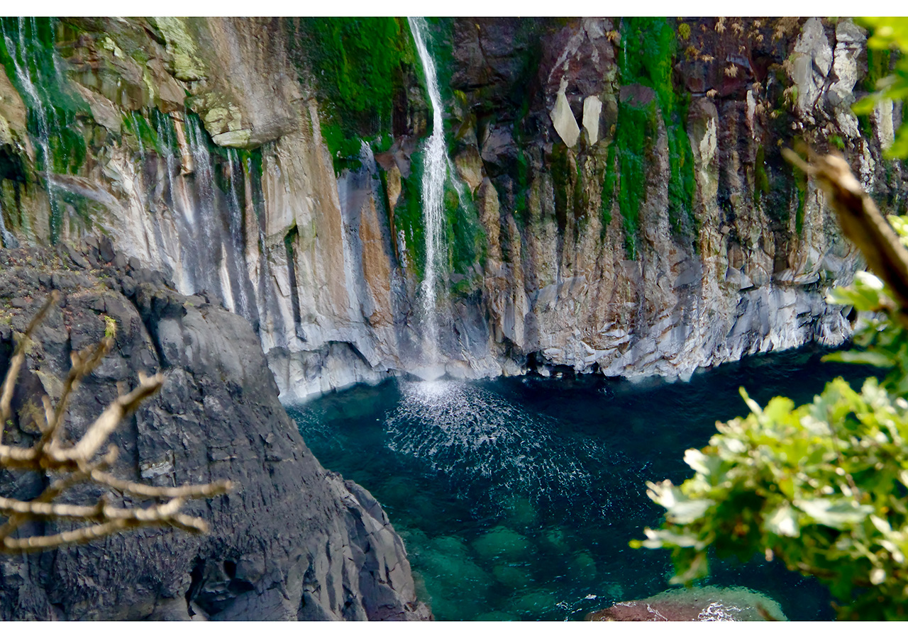 北海道・知床―海と大地、動物と人間の狭間に立って