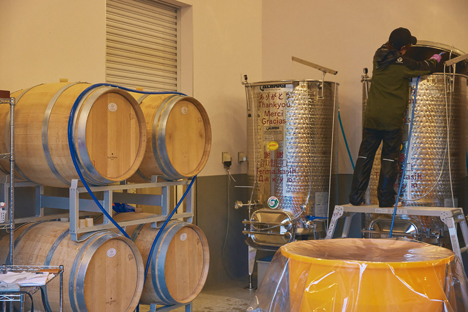 昨年まで収穫したぶどうをお隣の川内村にある〈川内ワイナリー〉へ持ち込みワインを醸造していたが、今年からいよいよ自社醸造所の稼働がスタート。