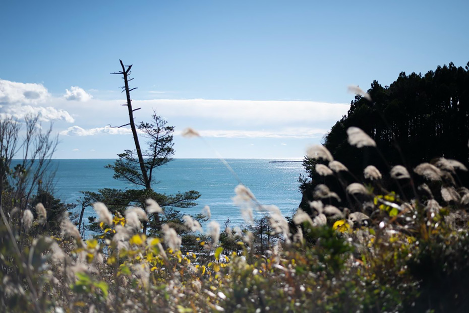 宮島達男さんは青森から北茨城までの太平洋沿岸を巡り、富岡町で生きる人々を見てここに美術館をつくることに決めたそう。　撮影：岩波友紀