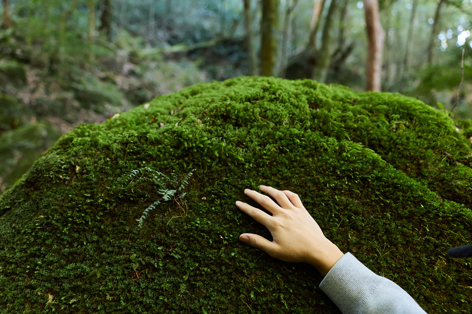 自然の潤い。みずみずしさの奥にある島の体温を感じる。