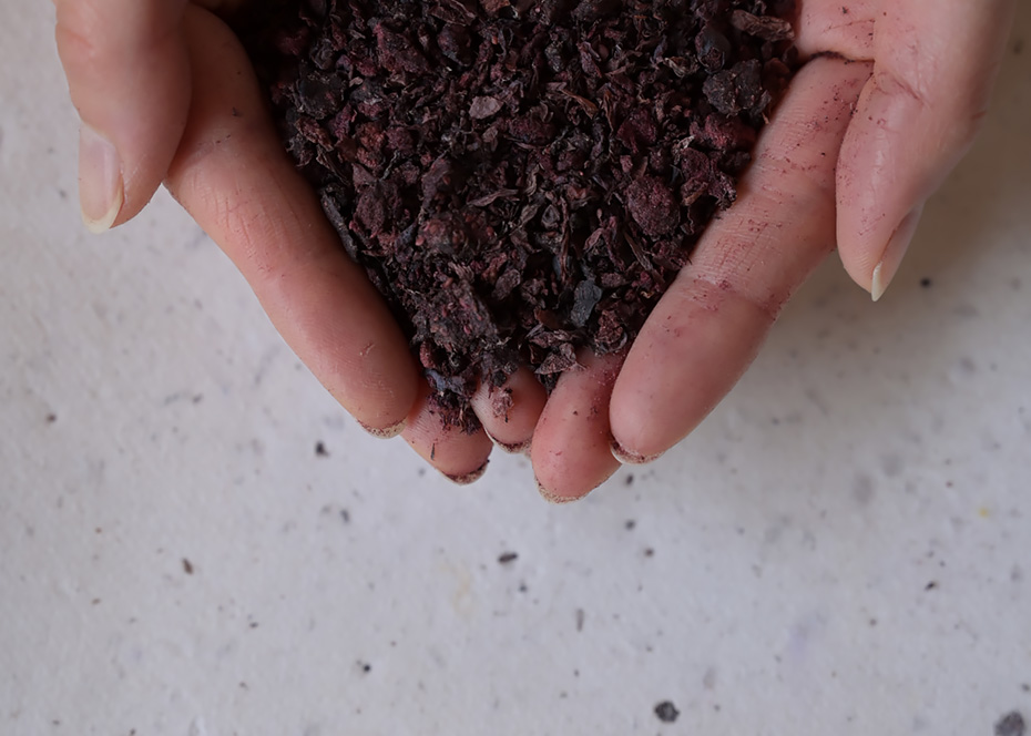 ブルーベリーの果実が混ぜ込まれた和紙などに、農Colorの染液や絵具を重ねて選んだ香りで仕上げるアート体験。世界に一つの作品をつくることができる。