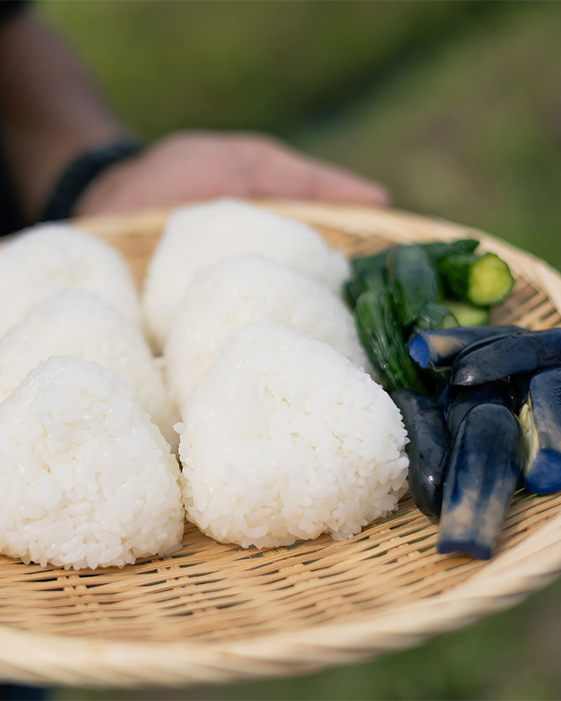 青森県を代表するブランド米。 あおもり米〈青天の霹靂〉の おいしさの理由を探る