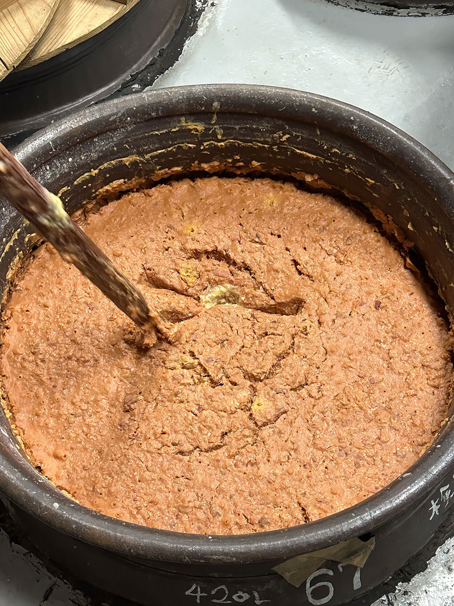 発酵樽の中。同じ芋、同じような甕に入れても、発酵のスピードは異なる。