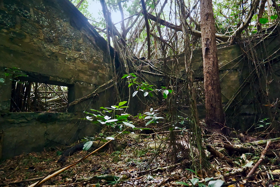 三日月山の弾薬庫跡。