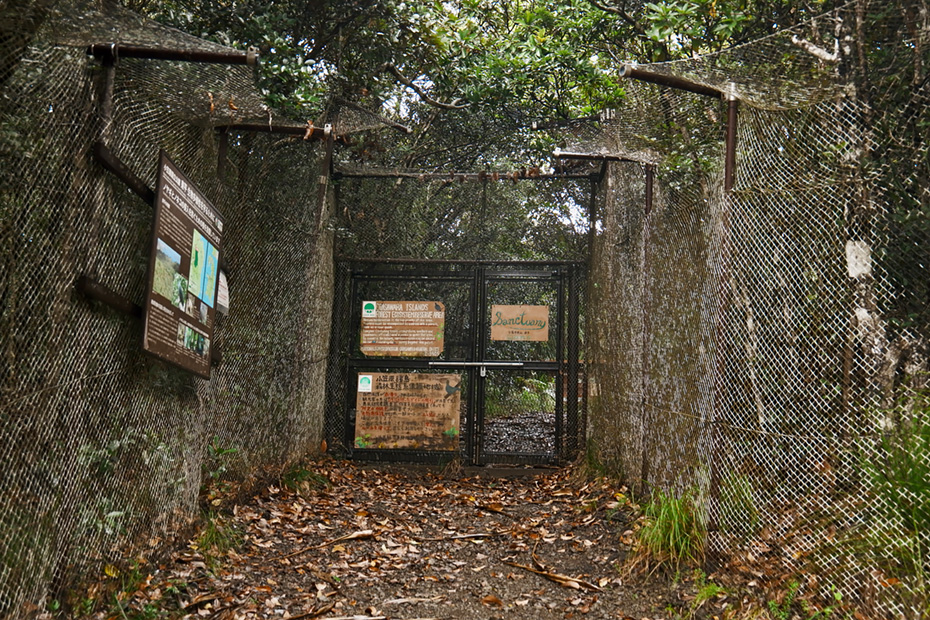 森の中を猫や山羊から守るために柵がつけられている場所もある。