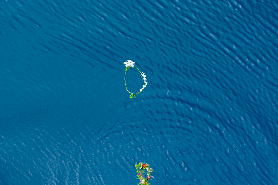 乗客はレイを投げる