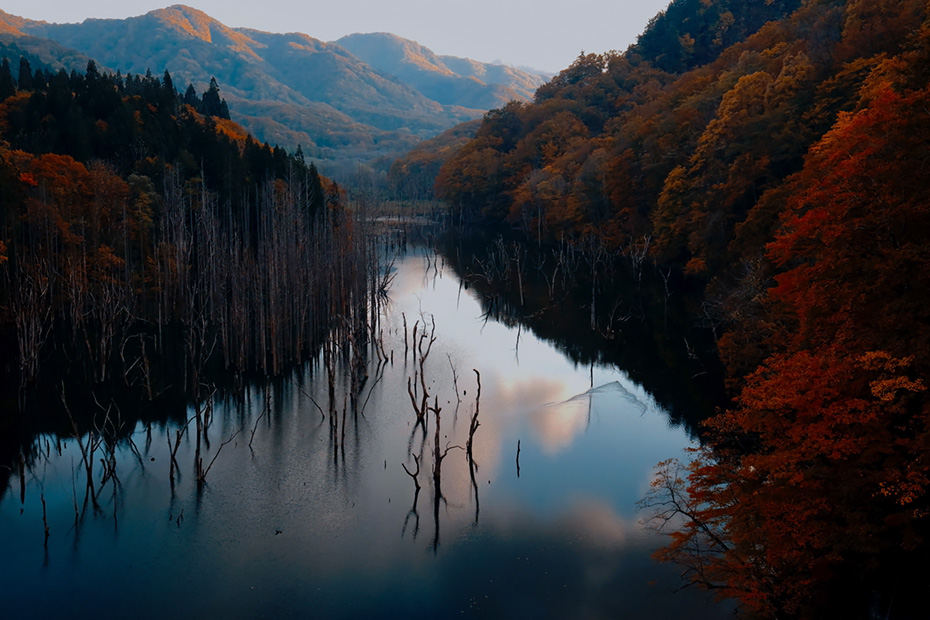 青森県西目屋村・大川白神橋より
