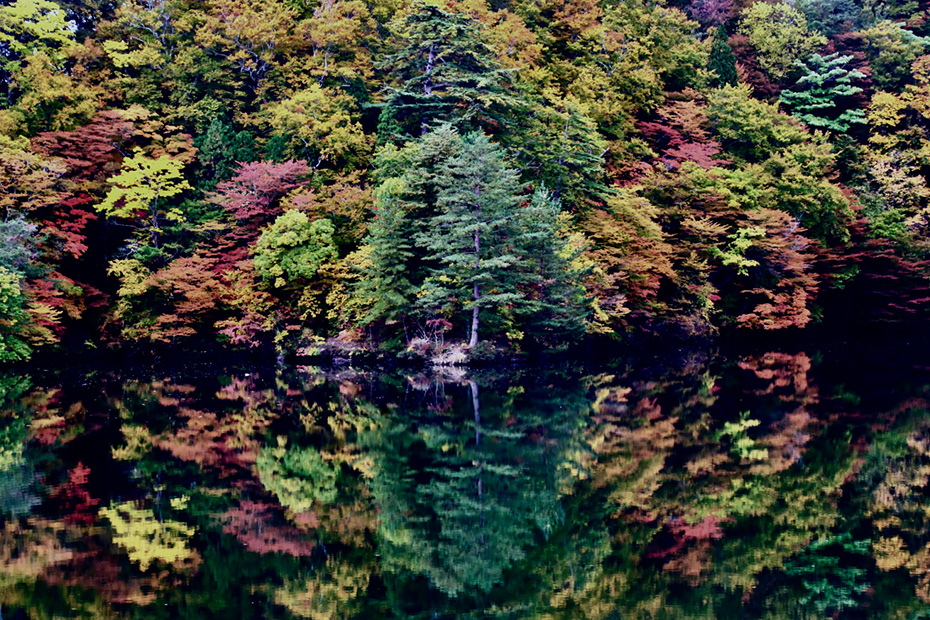 青森県深浦町・十二湖　落口の池