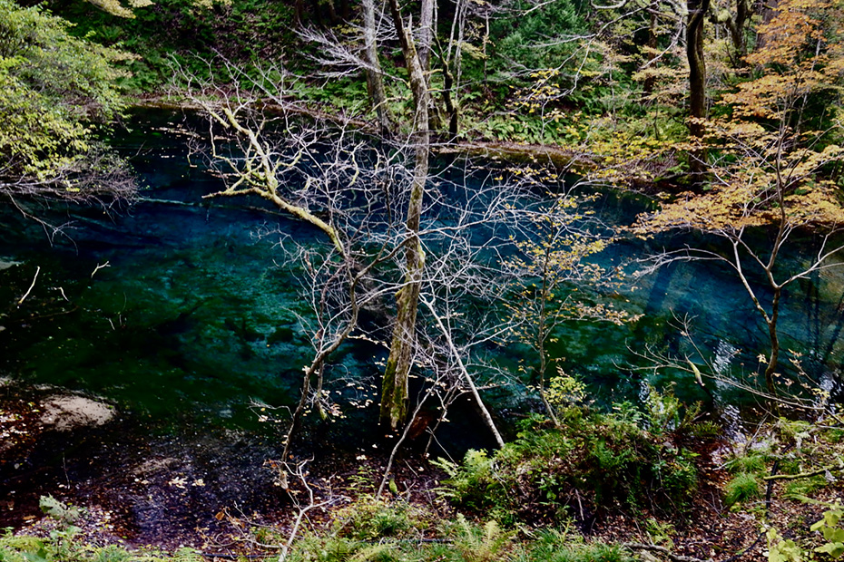 青森県深浦町・十二湖　沸壺の池