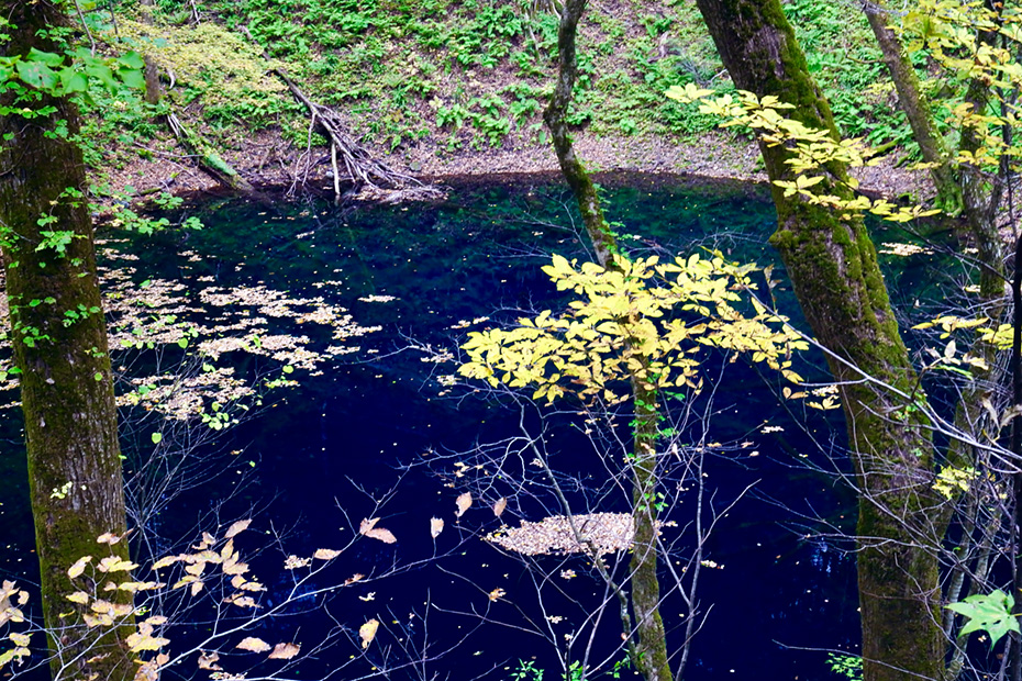 青森県深浦町・十二湖　青池