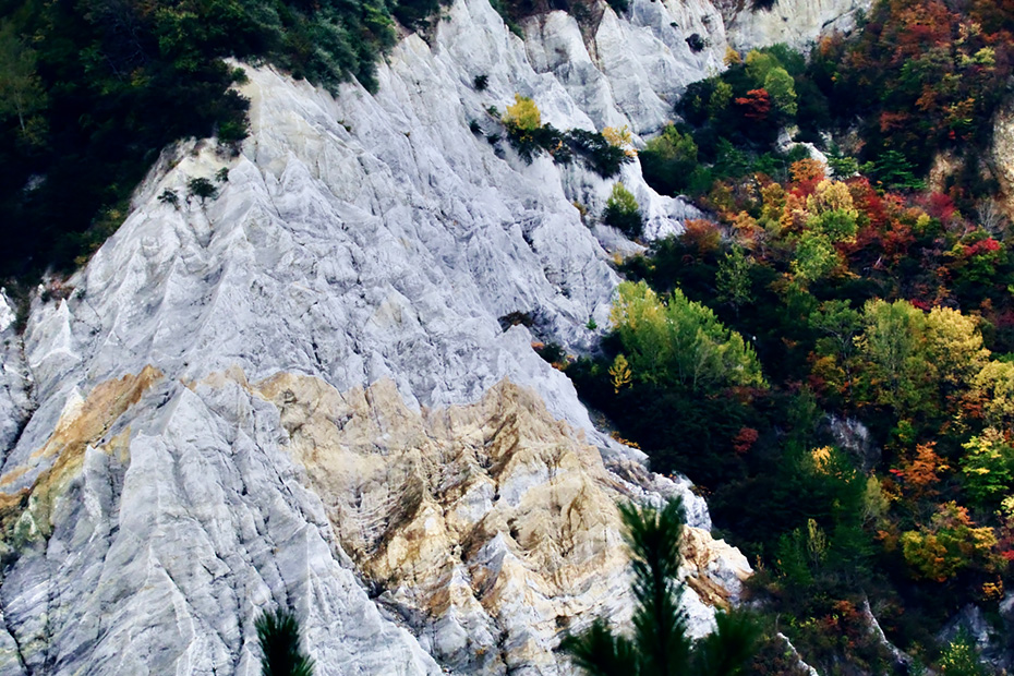 青森県深浦町・日本キャニオン　1200万年前頃に海底火山から噴出した礫（れき）や火山灰が堆積した岩石（シリカ含有量が多い酸性凝灰岩主体）が大規模地滑りで露出した断崖。脆い火山灰質の地層が浸食を受け峡谷景観を形づくった。地滑りの地学的特性が異なる環境を作り出し、その結果、さまざまな植物種がその環境に適応した形で存在するといわれており、白神山地の地形の成り立ちを見ることが出来る。
