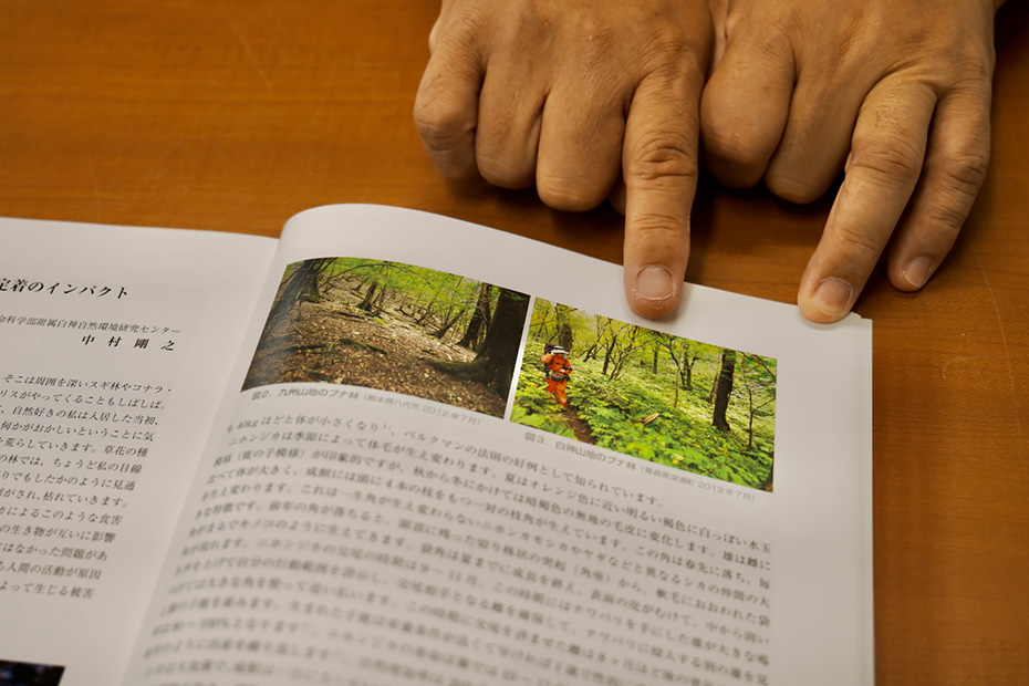 「白神山地の研究を始めて15年になるが、毎年変化し続けている。南方にしか生息しない昆虫は頻繁に発見し生態も常に変わり続けている。そして、今一番問題なのがニホンジカの繁殖による食害。この地域では長い間生息していなかったニホンジカが昨今急増し植物を食べている。ブナ林の林相が変わるのも時間の問題。あと、ナラの樹がカシノナガキクイムシによって枯れるナラ枯れ被害が酷い。」と白神の現状を九州のブナ林の様子と比較して解説してくれた。