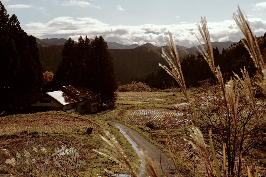 秋田県藤里町・横倉の棚田