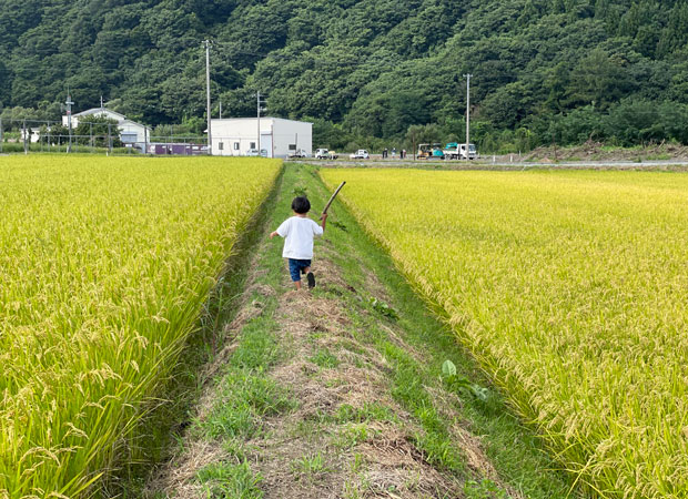 義母の両親が米農家だったため、田んぼで遊んだことも。(写真提供:栗本千尋)