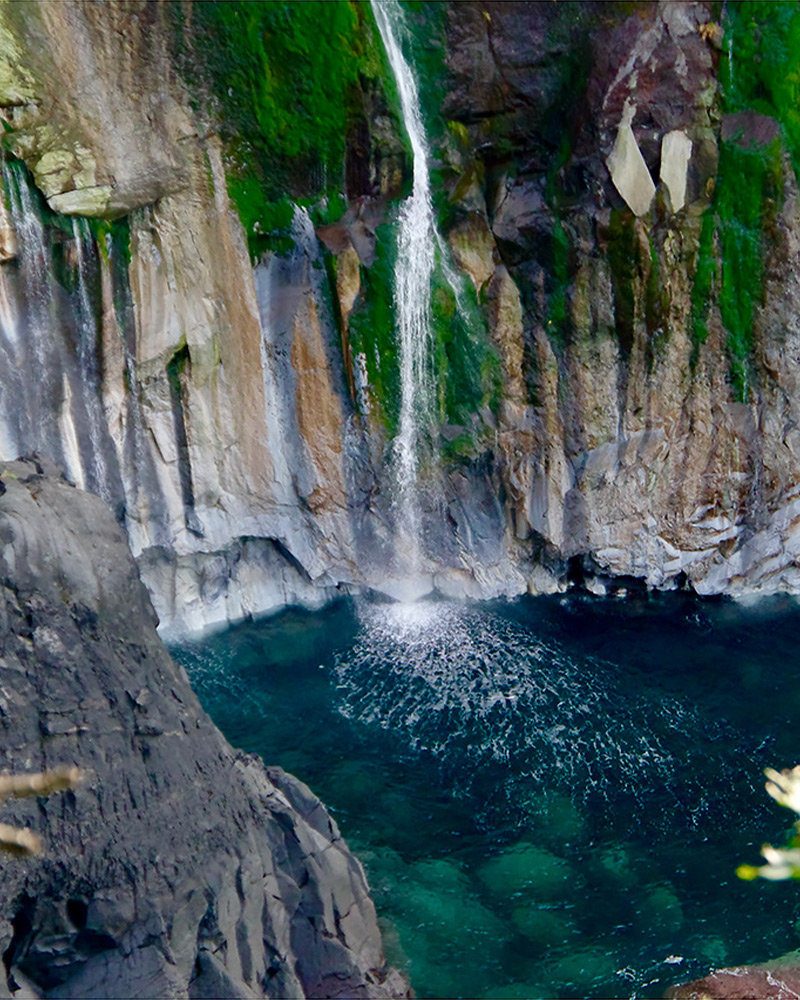 北海道・知床―海と大地、 動物と人間の狭間に立って