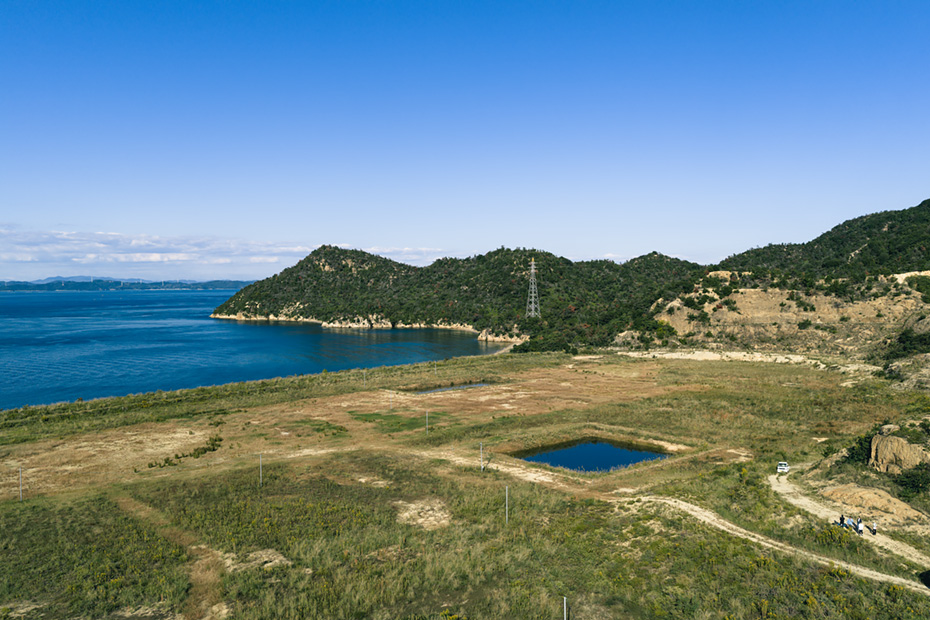 かつては岩の上まで産廃が積み上がっていた処分場跡地。植生の再生、砂浜や潮だまりの復活など少しずつ生態系回復に向かい進んでいる