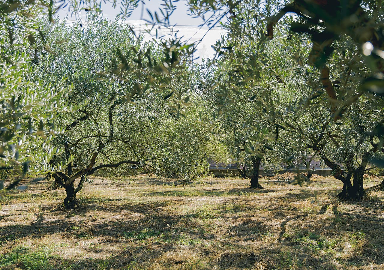 「豊島事件」を教訓に　次世代へ美しいふるさとを託す