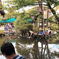 「しばた寺びらき」　のザリガニ釣り