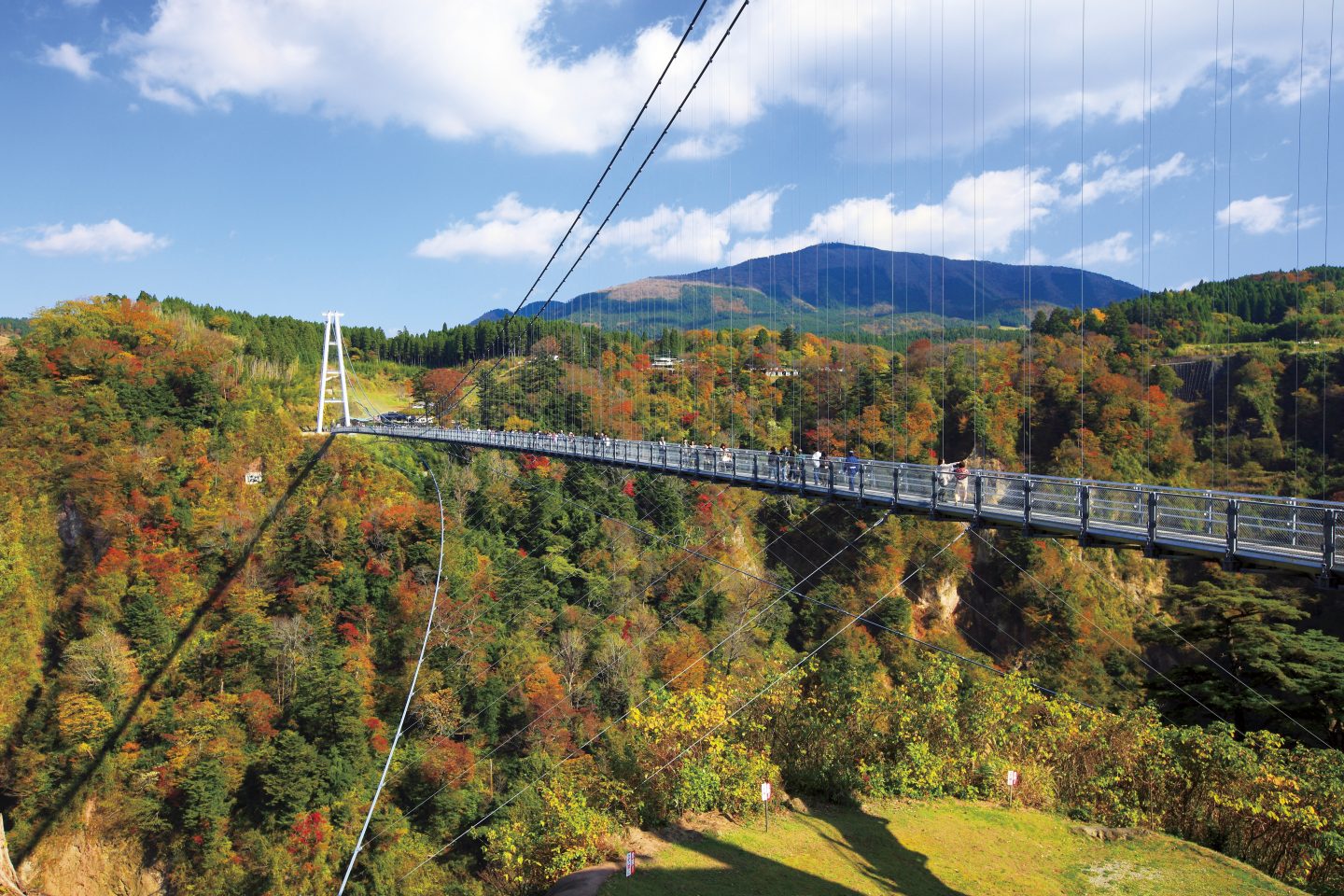 九重夢大吊橋