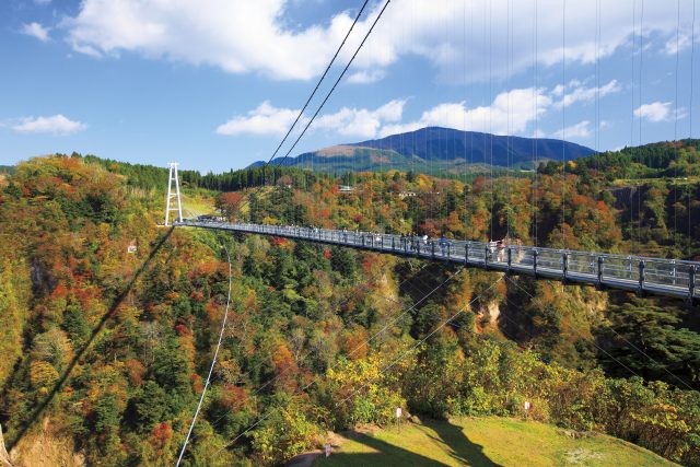 九重夢大吊橋