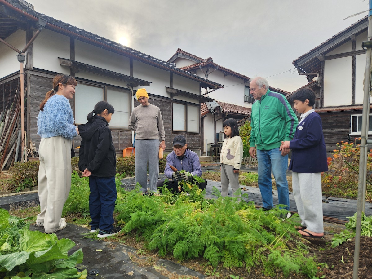 畑で野菜収穫する様子
