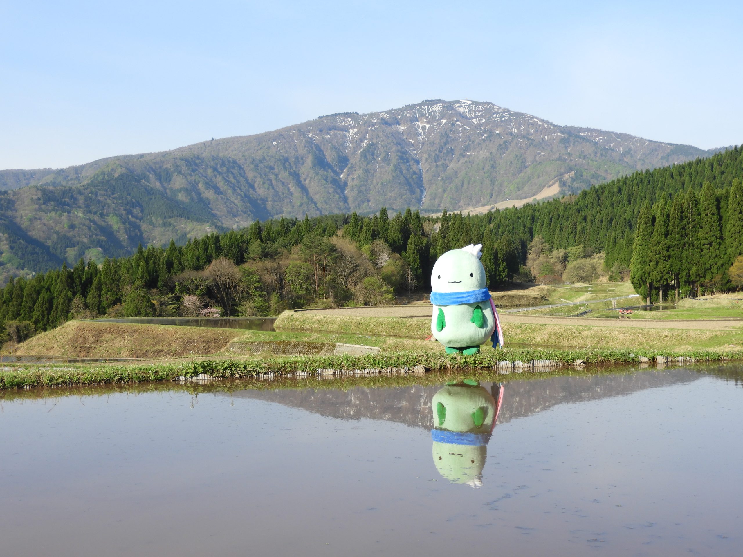 やっぷーメイン