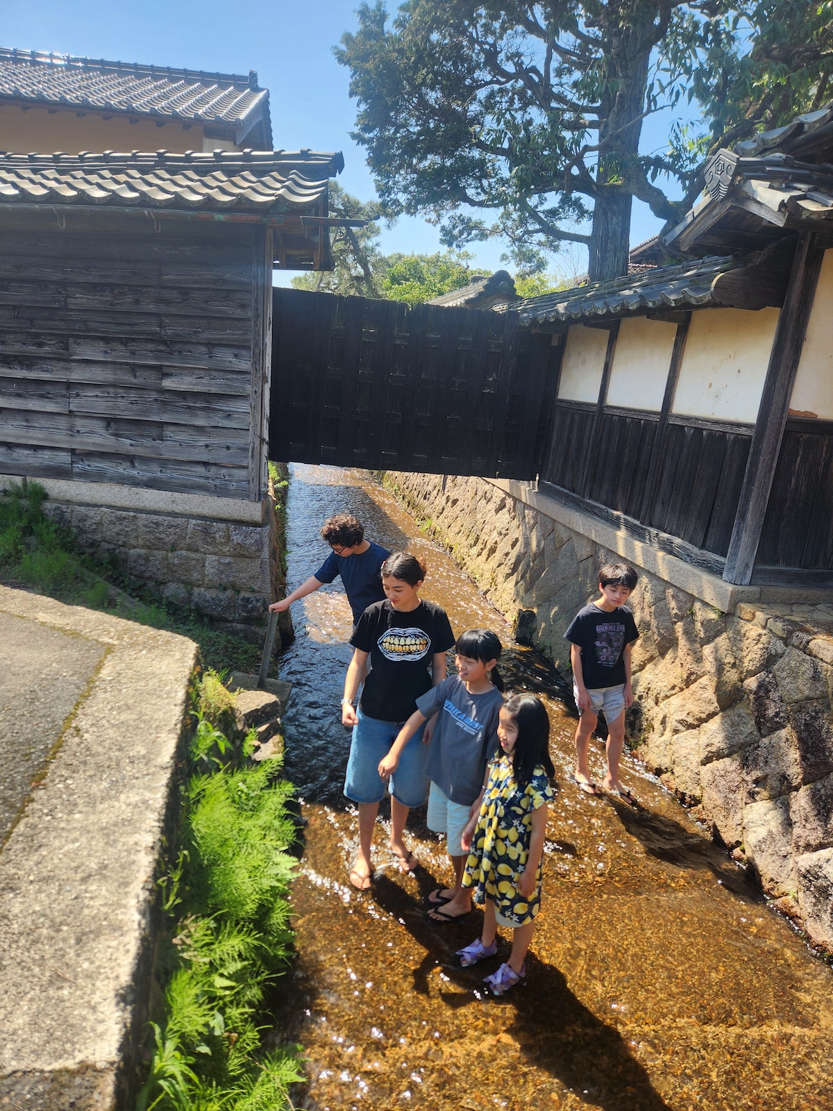 森尾川で水遊びする様子
