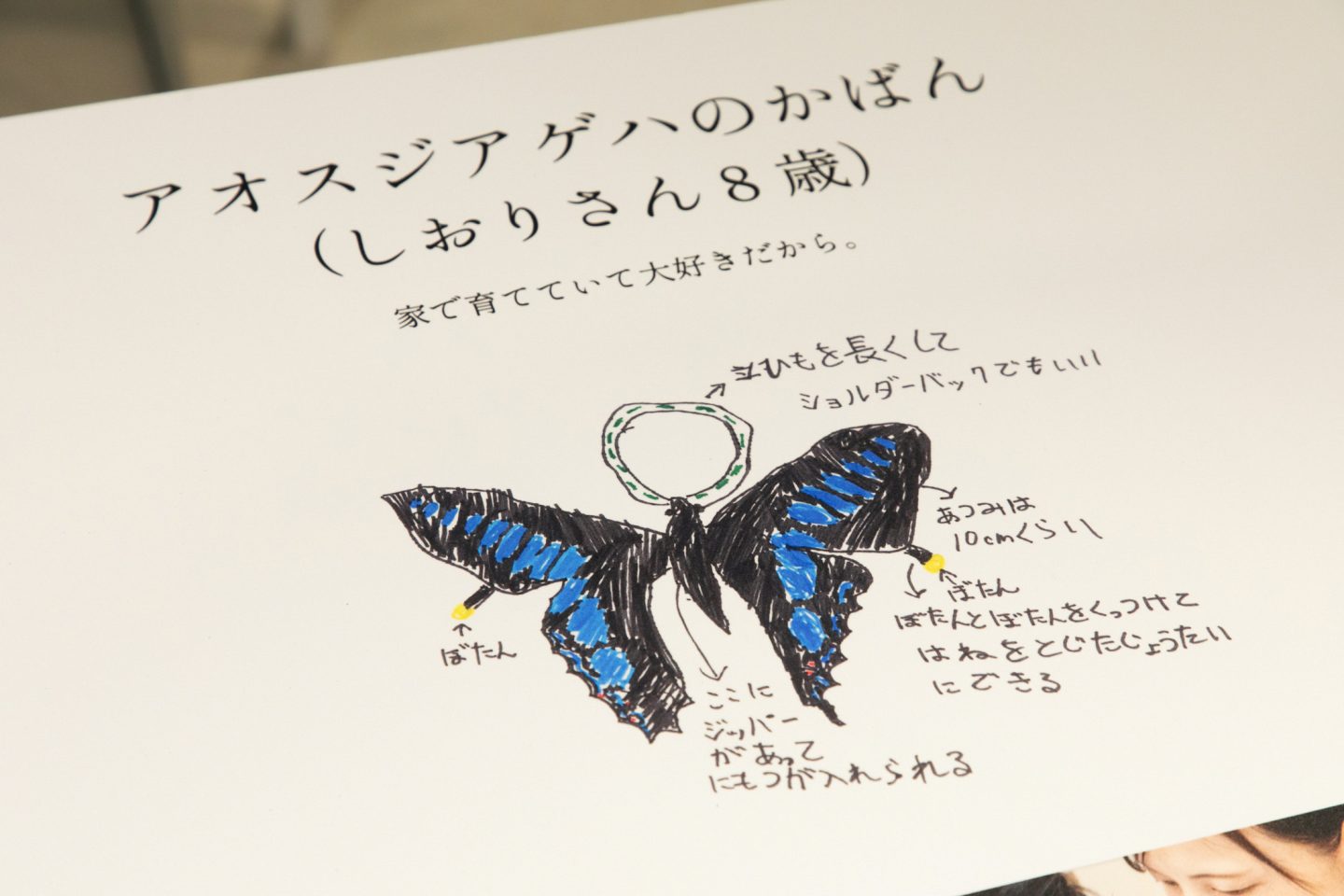 「アオスジアゲハのかばん」のデザイン案