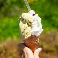 能登産の塩を使ったソルトミルクと、ピスタチオ。