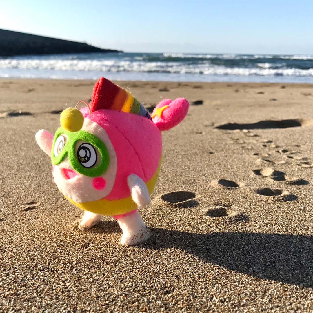 当初はぬいぐるみ状態で活動していたプク丸ちゃん。深海から石川県の内灘海岸に上陸してきた。