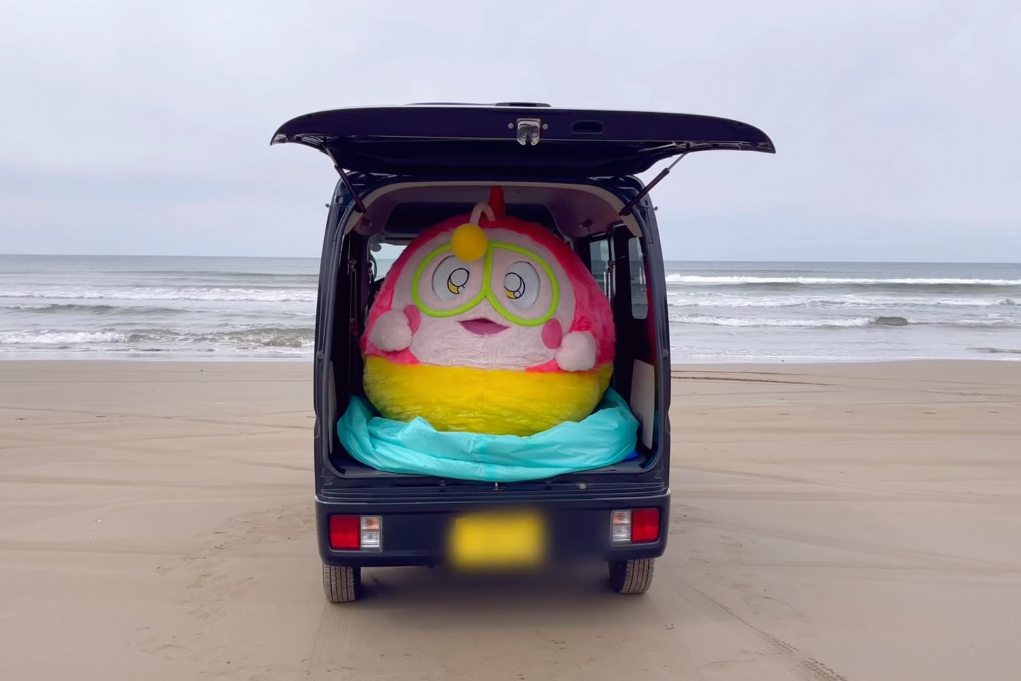 車に乗っているプク丸ちゃん