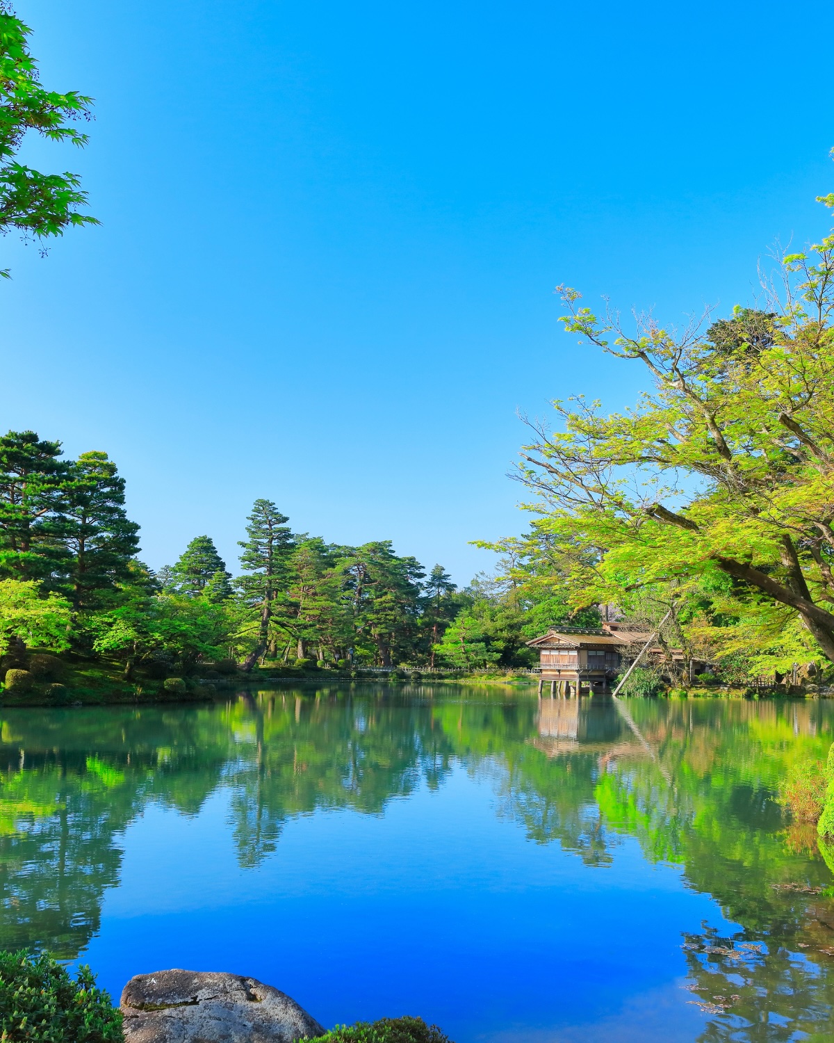 晴れた日の兼六園