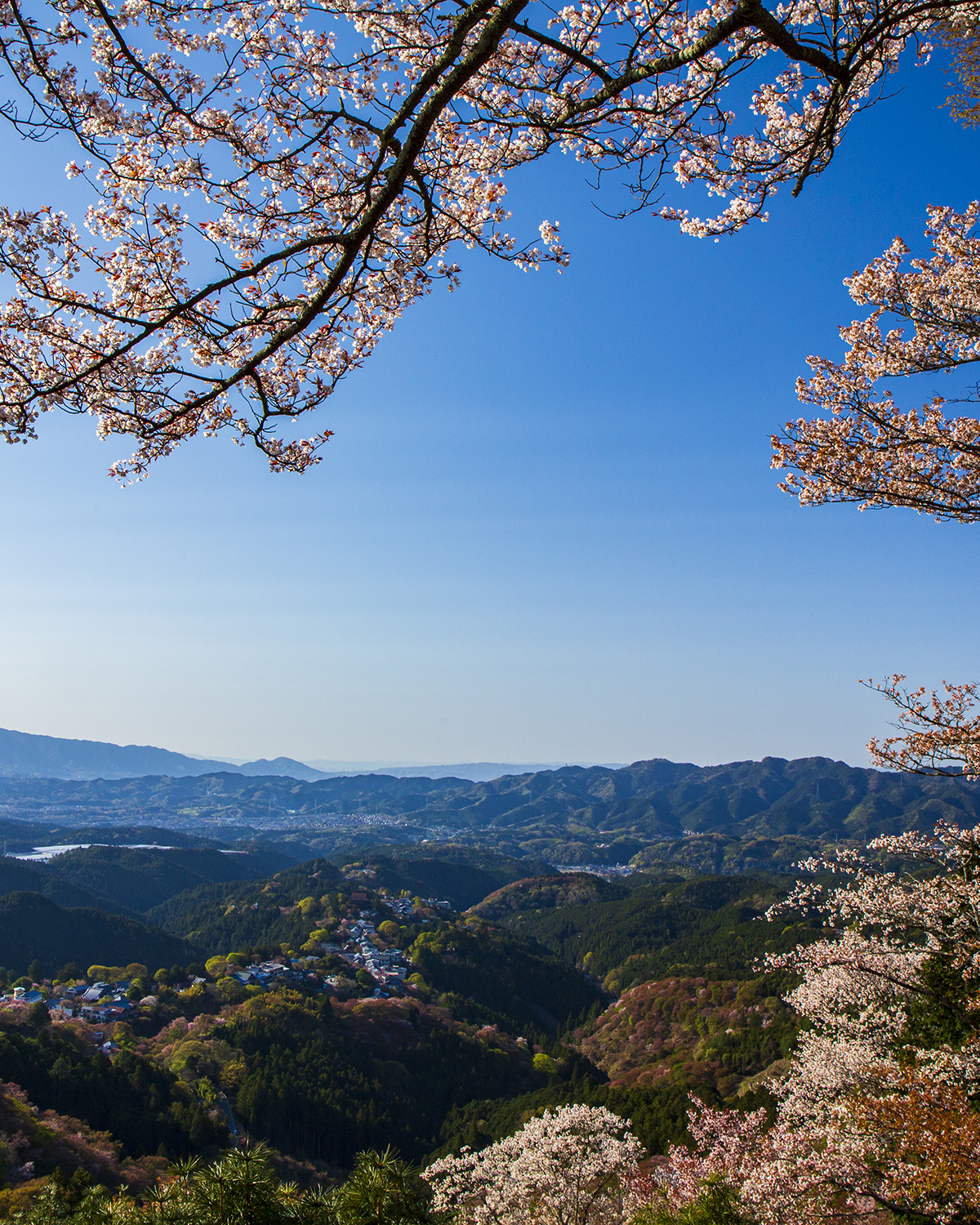 吉野山
