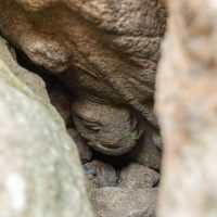 郡山城天守台の逆さまに積まれた石の地蔵