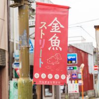 〈柳町商店街〉のあちこちにかかる「金魚ストリート」の旗