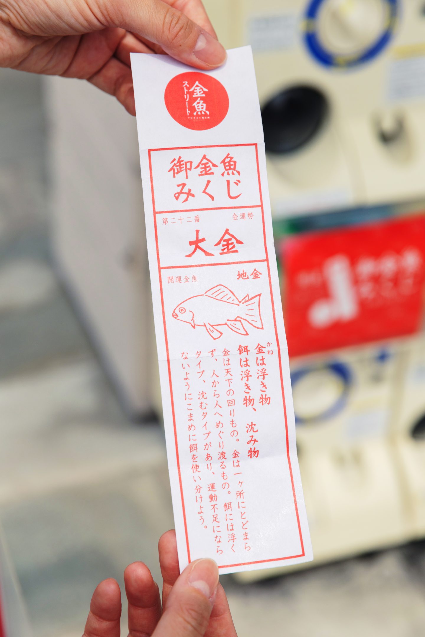 眼鏡店〈イシガミ〉の前で発見した御金魚みくじ