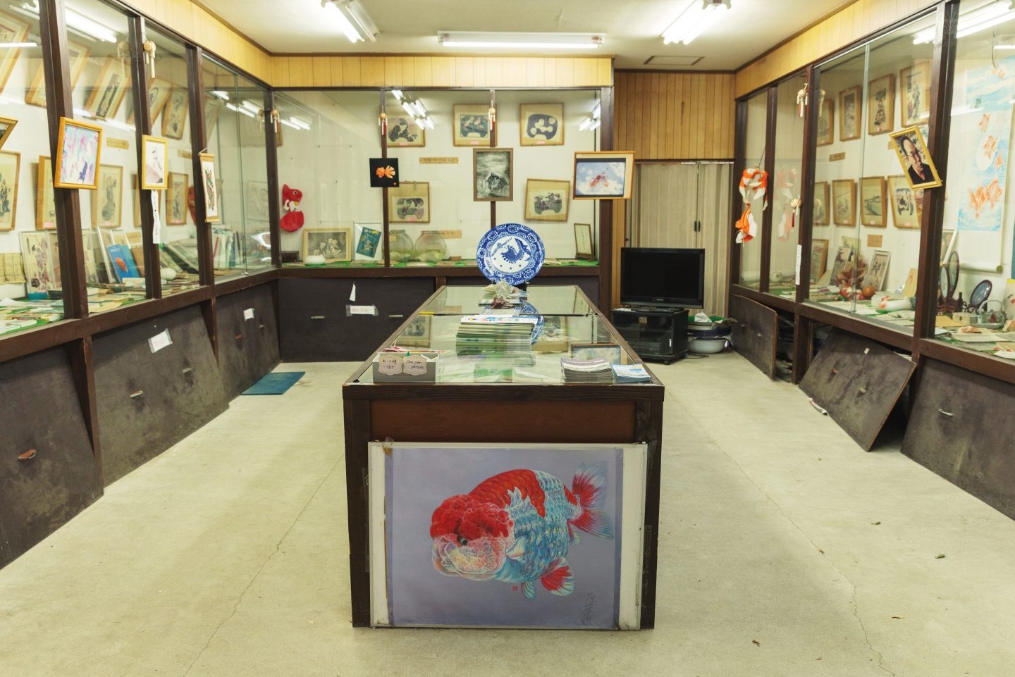 〈やまと錦魚園〉に併設されている〈郡山金魚資料館〉の内観